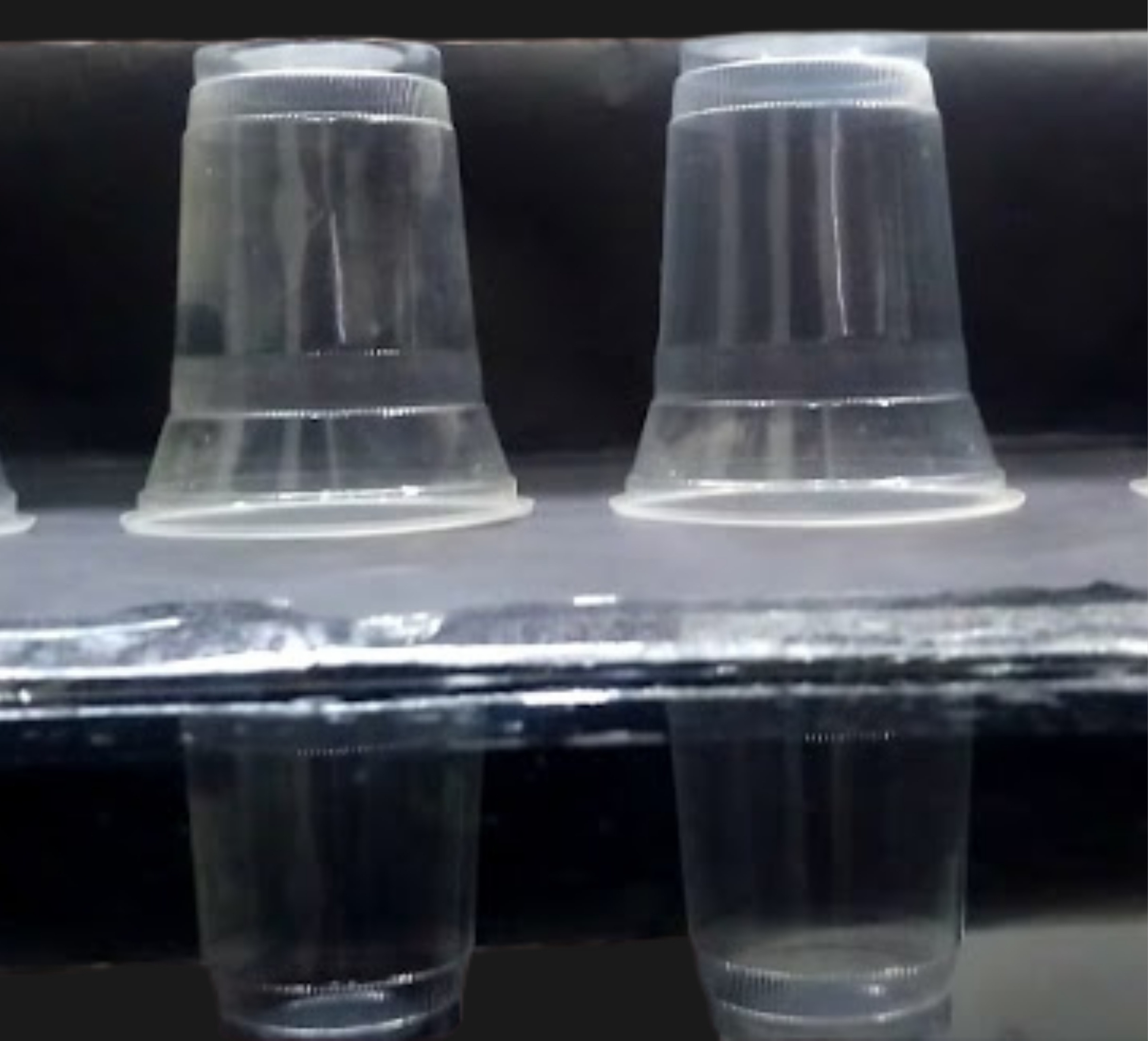 Disposable Clear Plastic Glasses / Cups
